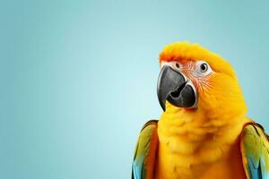 Beautiful colorful parrot isolated on blue background with copy space. Ai Generated photo