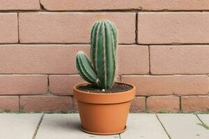 cactus en minimalista maceta. antecedentes. ai generativo Pro foto