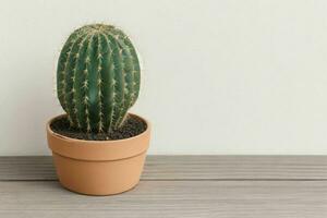 cactus en minimalista maceta. antecedentes. ai generativo Pro foto