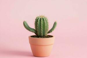 Cactus in minimalist pot. background. AI Generative Pro Photo