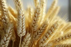 A 3D rendering of wheat sheaves in a close up bouquet AI Generated photo