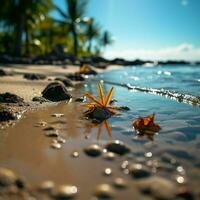 Tropical paradise Sand and blurred palm, beach bokeh depict summer travel concept For Social Media Post Size AI Generated photo