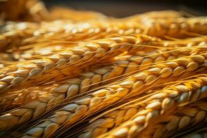 Fresh wheat grains in sharp focus, showcasing their natural beauty AI Generated photo