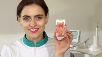 Lovely female dentist smiling to the camera, holding up tooth mold video