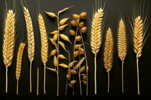 Various angles highlight a set of different wheat specimens AI Generated photo