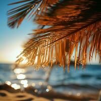 junto a la playa seducir borroso palmera, bokeh antecedentes mejorar arenoso escena, encarnando verano escapar para social medios de comunicación enviar Talla ai generado foto