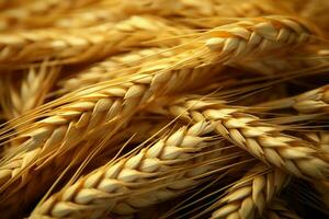 A close up view of a mound of golden wheat grains AI Generated photo