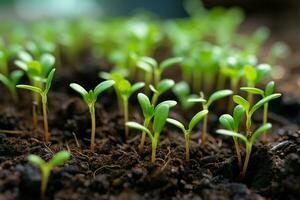 Promising green shoots, nurtured within a tidy planting tray AI Generated photo