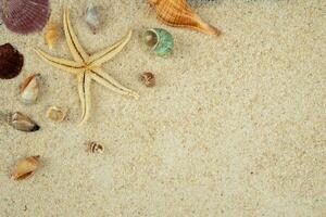 verano concepto con estrella de mar y mar cáscara ornamento foto