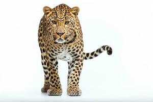 leopardo aislado en blanco antecedentes. lado vista. 3d ilustración. ai generado foto