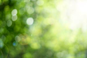 abstract bokeh background with sun light photo