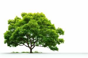 Green tree isolated on a white background. 3d render image. Ai Generated photo