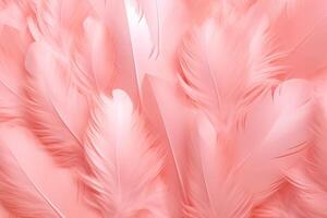 Beautiful color feathers on white background, feather texture, pink background Ai Generated photo