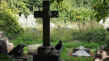 Graves and crosses at gothic cemetery photo