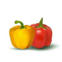 Realistic image of red and yellow peppers on a white background vector