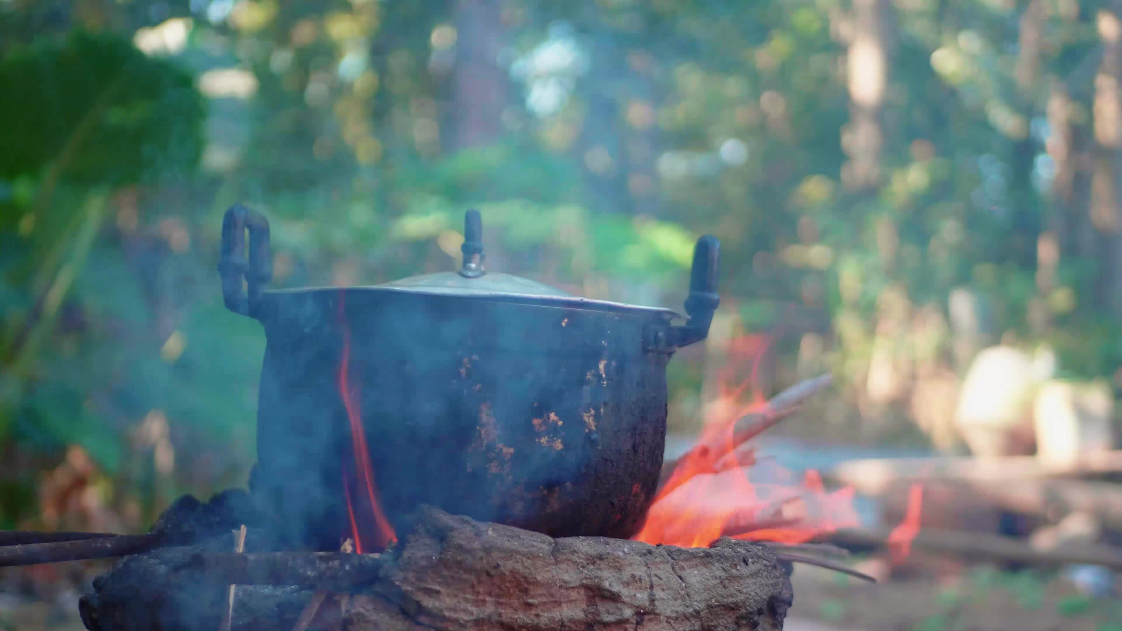 Light a fire to cook rice using firewood as fuel. 33118646 Stock Video at Vecteezy