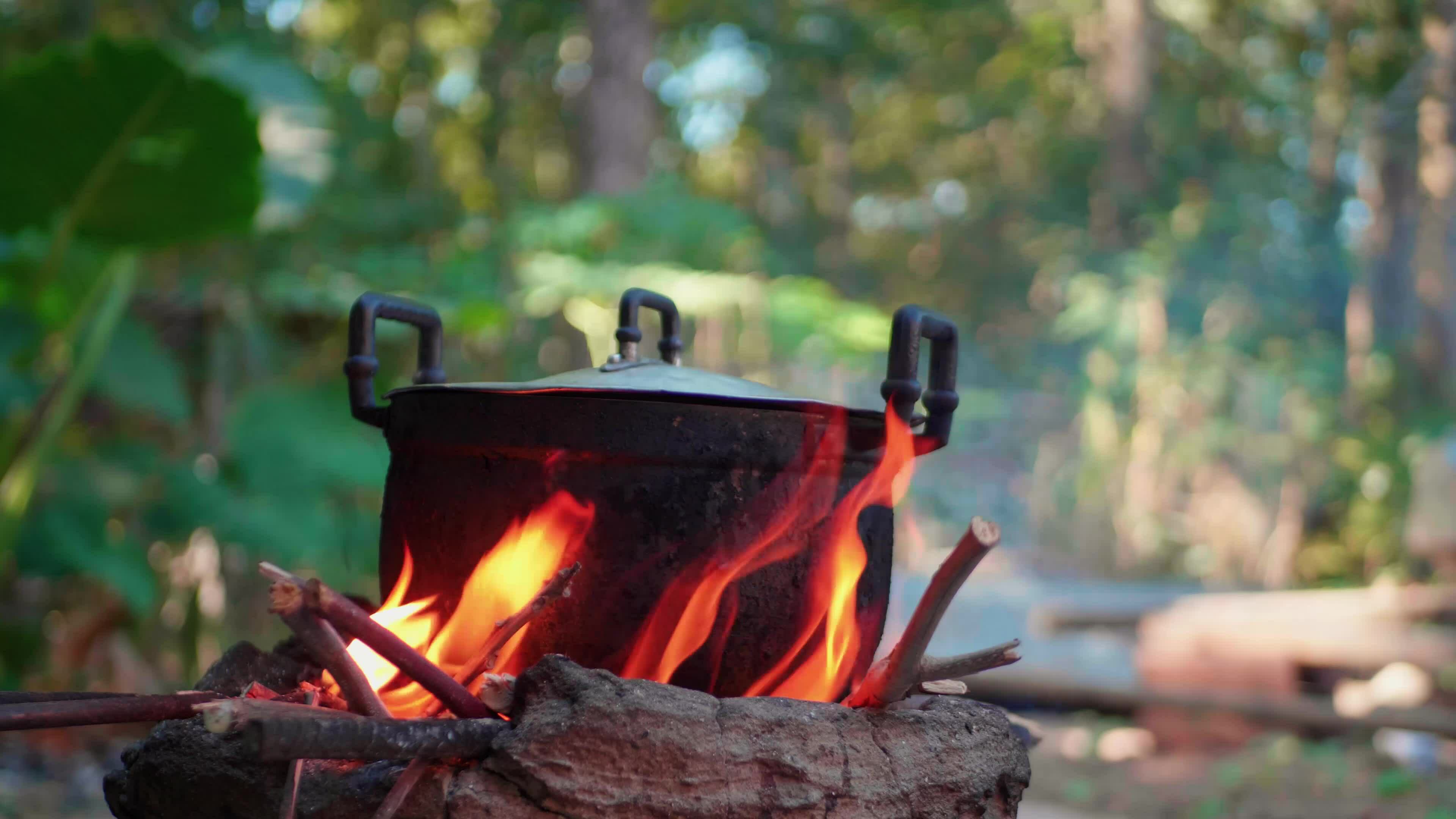 Light a fire to cook rice using firewood as fuel. 33118650 Stock Video at Vecteezy