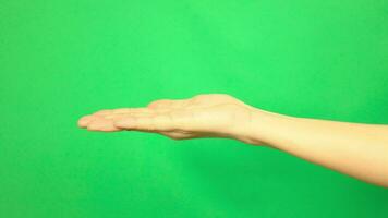 Hand on green background, green screen of hand video