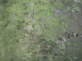 mossy concrete texture background photo