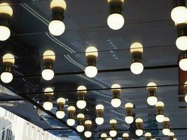 many light bulbs photo