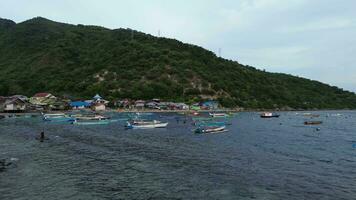 Aerial view of rows of fishing boats in the sea video