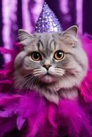 Scottish Fold cat in New Years mask and feather boa background with empty space for text photo