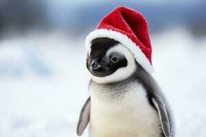 emperador pingüino polluelo en Papa Noel sombrero y Nevado fondo aislado en un blanco antecedentes foto