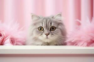 Scottish Fold cat in New Years mask and feather boa background with empty space for text photo