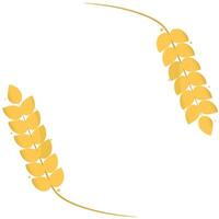 Agriculture wheat vector Illustration design template. elements of wheat grain, wheat ears, seed or rye, prosperity symbol