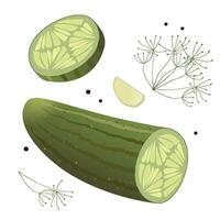 slices of pickled cucumber on a white background vector