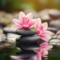 Lily and spa stones in zen garden  Stack of spa photo