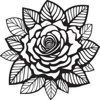 Rosa flor clipart negro blanco imágenes mano dibujado rosas. bosquejo Rosa flores con hojas vector