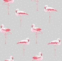 flamingo seamless pattern with pink flamingos on gray background vector