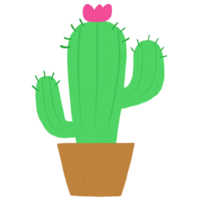 Oil painting texture cactus png