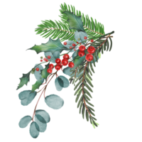 christmas frame with holly berries decorate leaf png