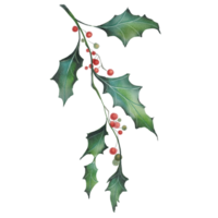Kerstmis kader met hulst bessen versieren blad png