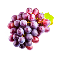 Bunch of fresh purple grapes  Generative Ai png