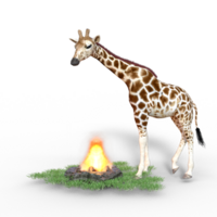giraffa isolato 3d png