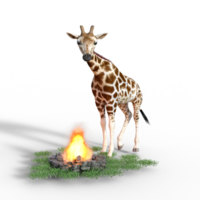 giraffa isolato 3d png