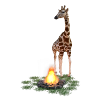 giraffa isolato 3d png