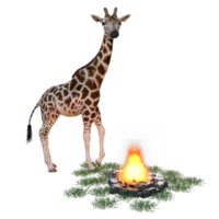 girafa isolado 3d png