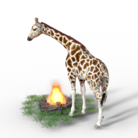 giraffa isolato 3d png