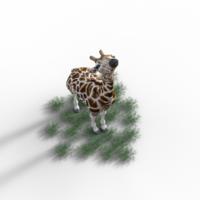 girafe isolé 3d png