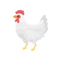 broiler gallina ai generativo png