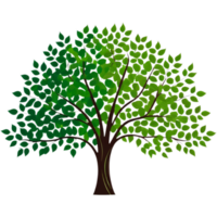 Tree with green leaves.AI Generative png