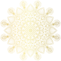 dourado mandala.mandala de lujo .cor dorado png