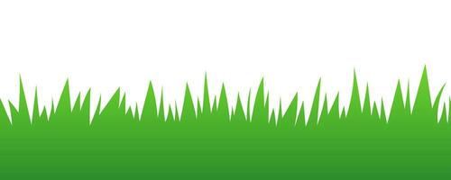 Green grass on white background. Vector illustration