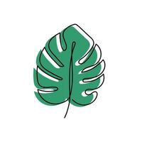 Hand drawn monstera leaf with outline concept. Vector illustration