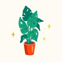 Monstera plant in a pot vector flat illustration. Tropical interior palm, house garden