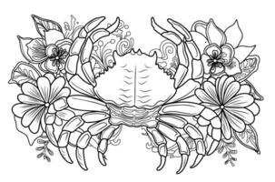 Sea crab with algae. Underwater world.Simple line illustration for coloring crab.Coloring page. vector